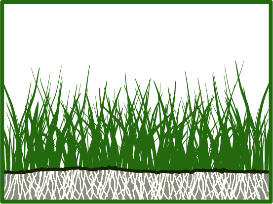 lawn meadow diagram 2