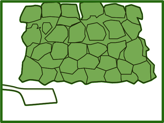 meadow diagram 2