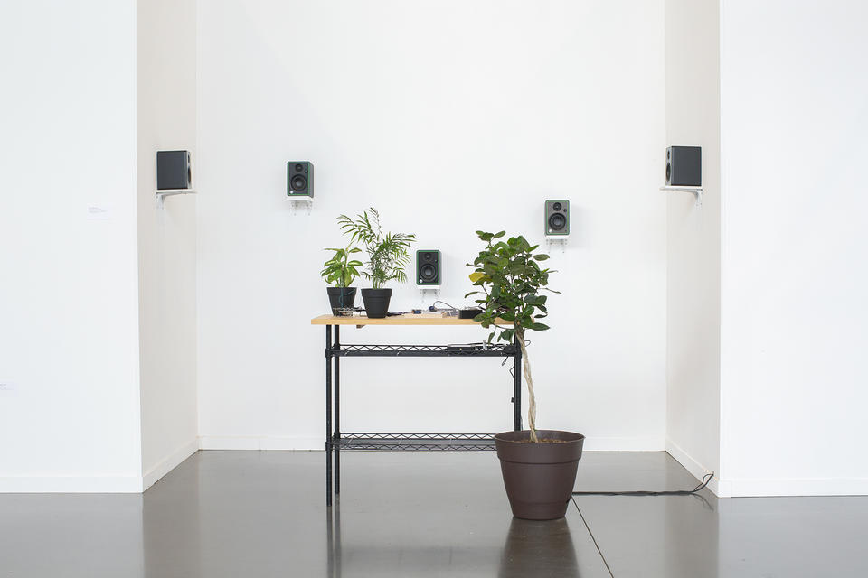 A wireframe table containing an assortment of objects and plants with a potted tree placed in front of it. In the background there are five plain, black, rectangular speakers mounted on a white wall at varied heights.