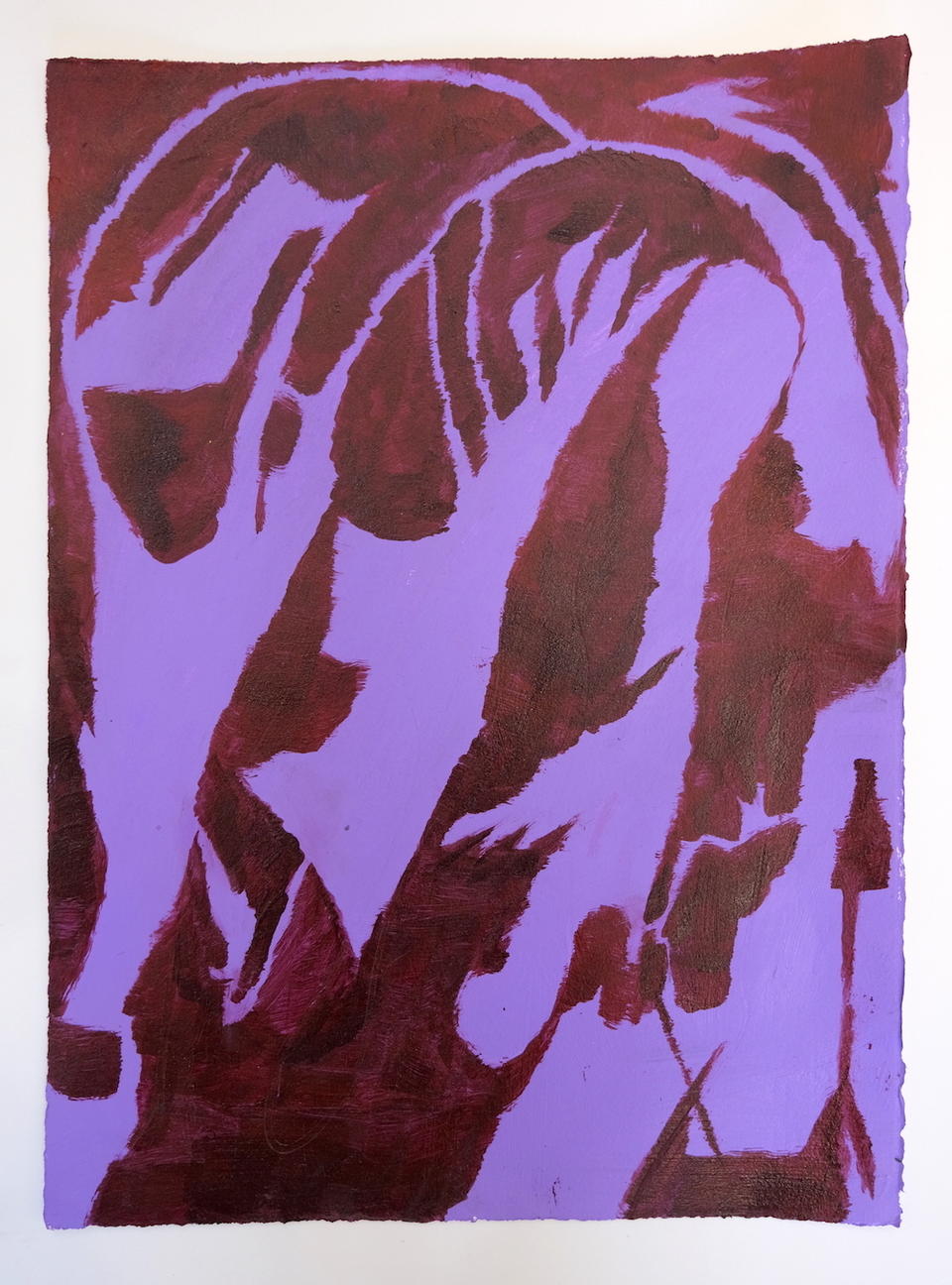 Photo of maroon and purple feathery abstract drawing