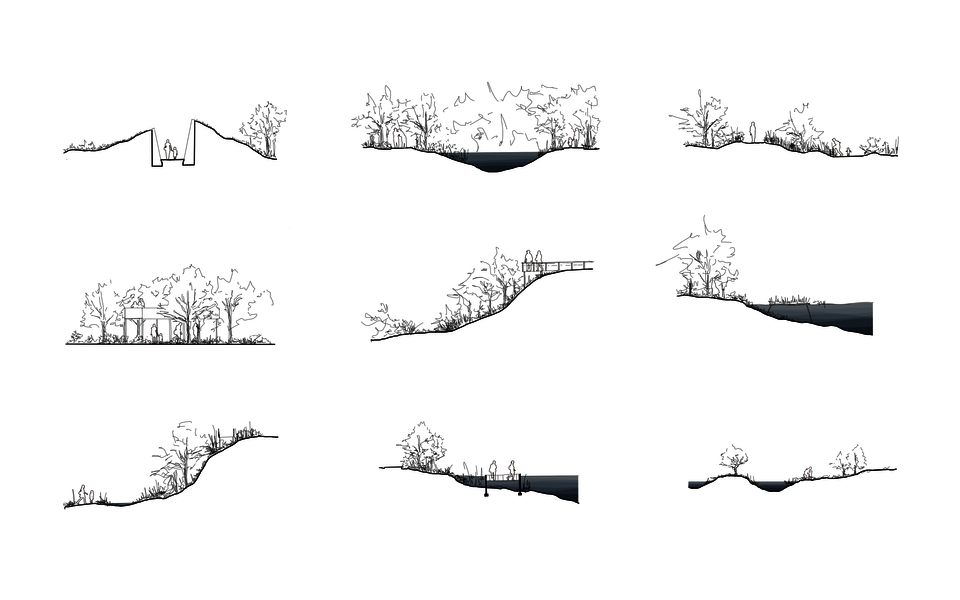 Typology of different spatial experience through the design of elevation
