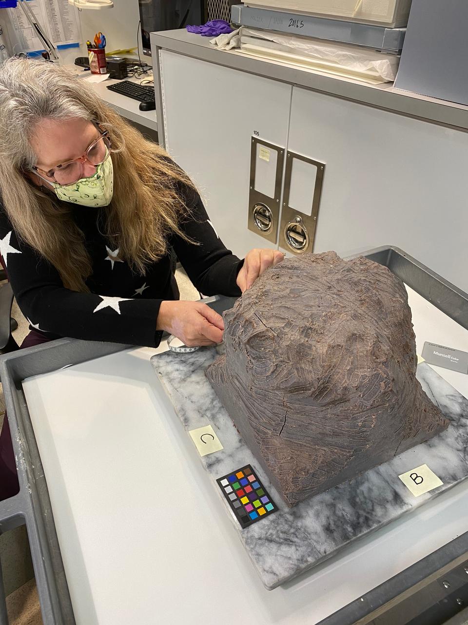 Masked museum worker sits at a table, examining an object. Object is a fairly large amorphous form, its surface textured by robust molding by hand.