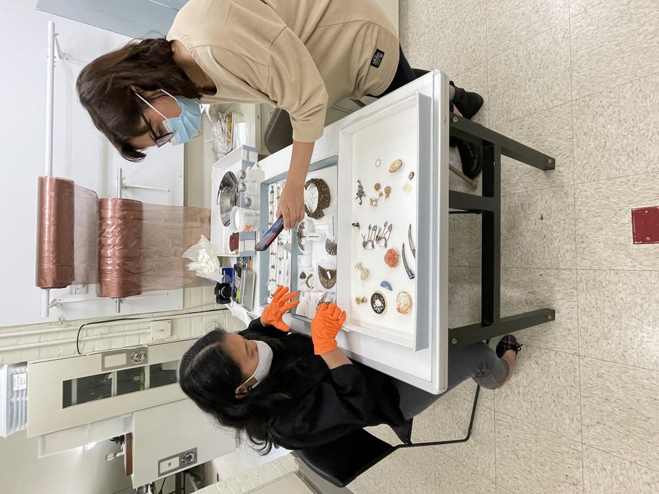 Two masked people work at a table together. They examine trays of small objects set between them.