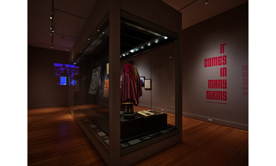 A large case stands in a light-gray gallery with wooden floors. Inside the case are a number of textiles. Magenta text on the wall says: “It Comes in Many Forms”