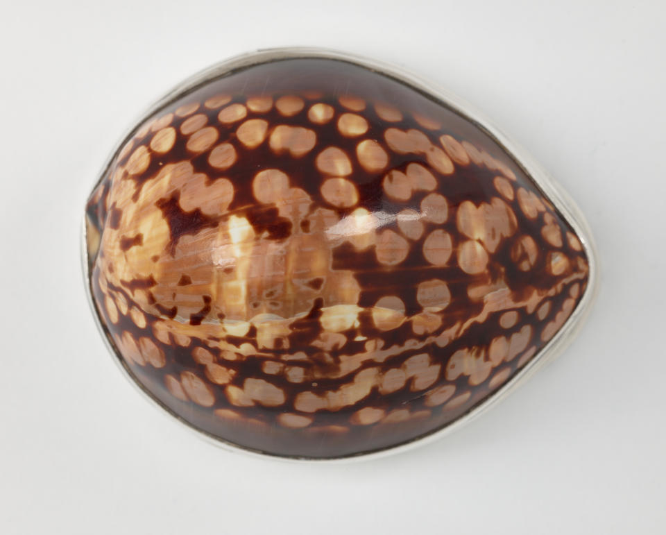 A box in the shape of a shell with mottled dark brown pattern. Silver band around bottom edge.