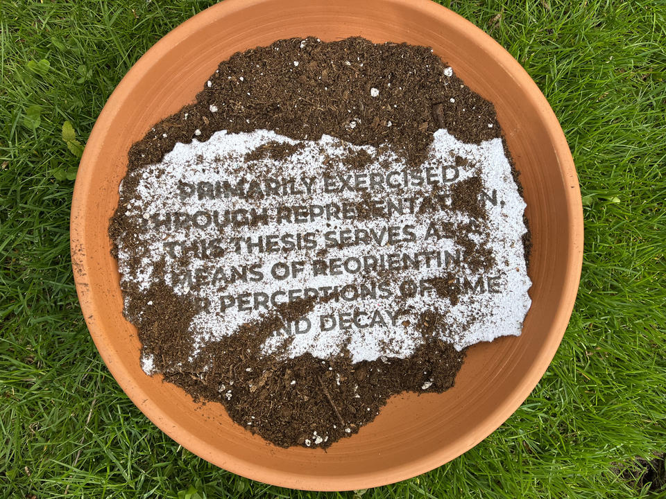 Paper with thesis statement planted in a planter