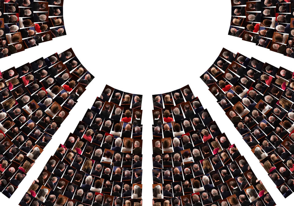 This image shows the cutout image of the politicians' heads facing away and is arranged based on the seating plan of the chamber of the United States House of Representatives.