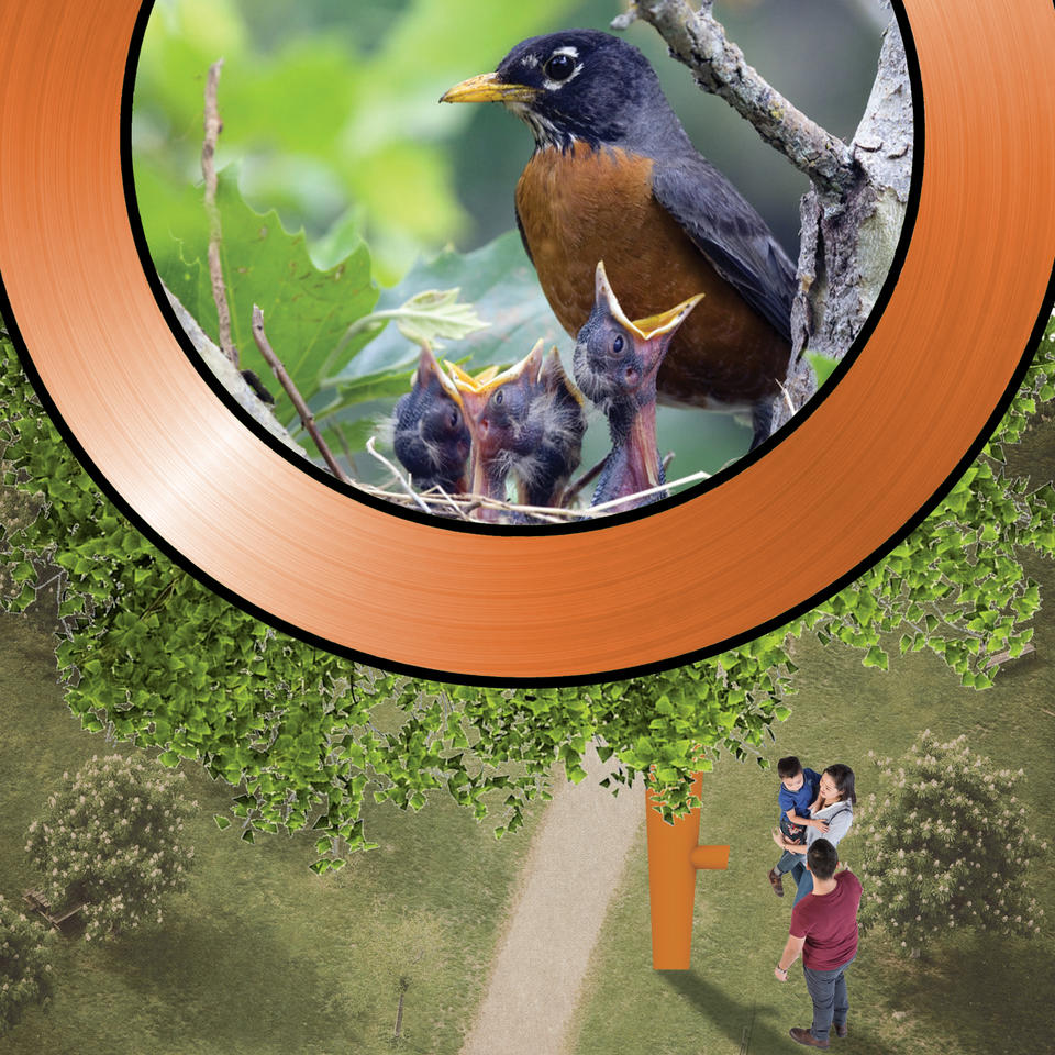 a bird's eye view of a family looking into a periscope to see a robin and its nest full of chicks.