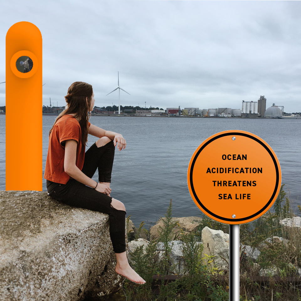 collage showing a woman looking across the river at oil tanks and industrial waterfront. a sign announces that ocean acidification threatens sea life.