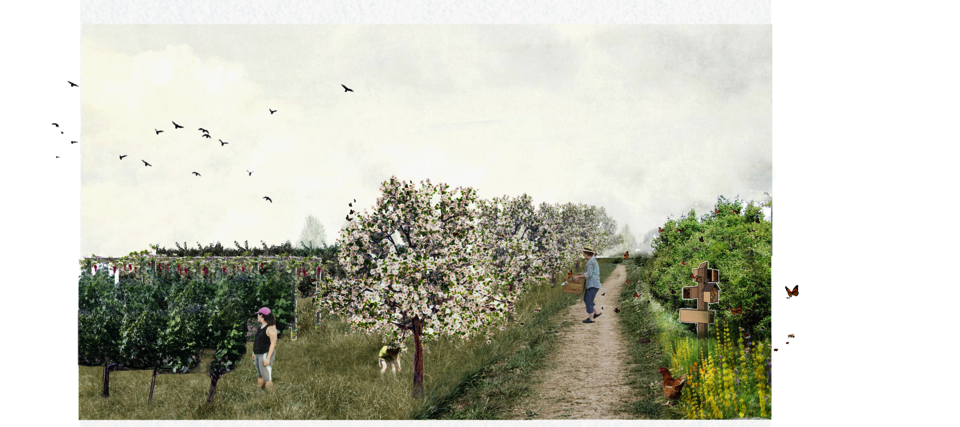 Pollinator hedgerows divide the community crop field with rentable land.