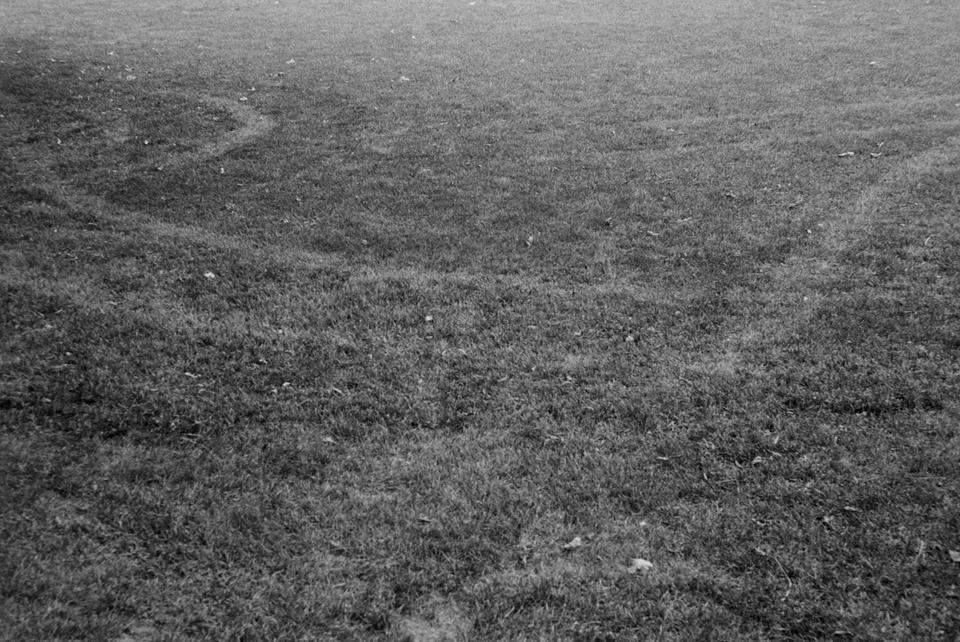 winding looping lines left behind in the grass