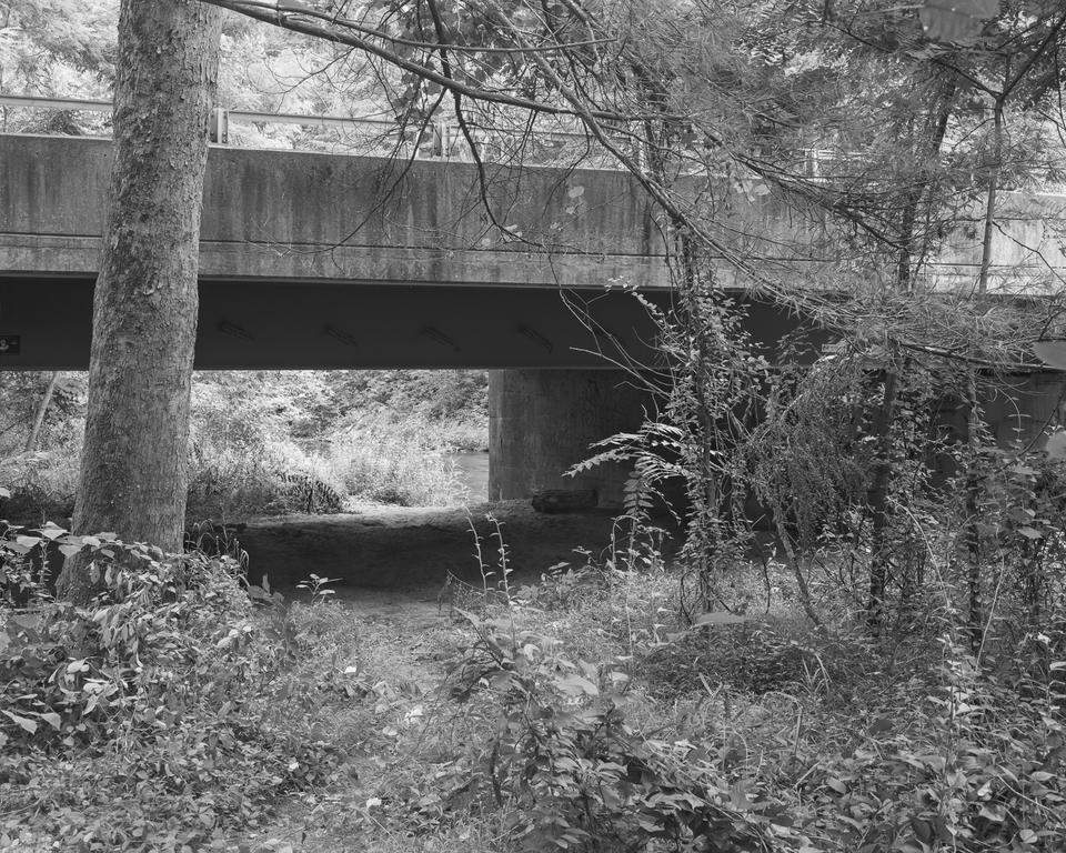 The view of a bushy clearing under a small bridge.