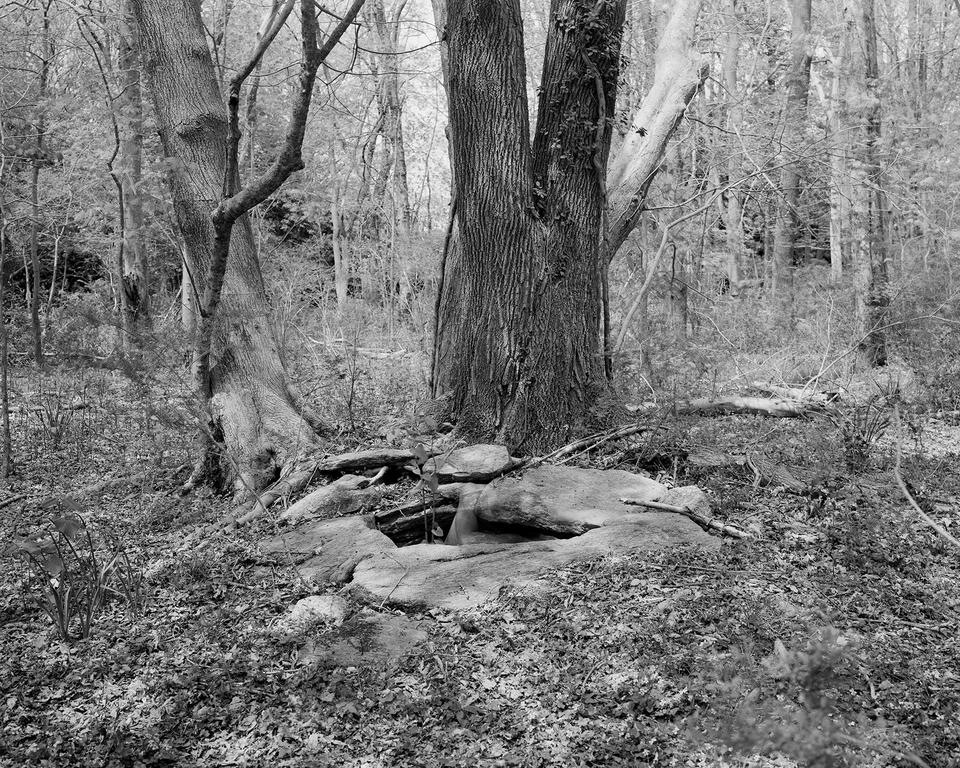 Grey scale photograph of a woodland landscape, double exposed figure in the middle. 