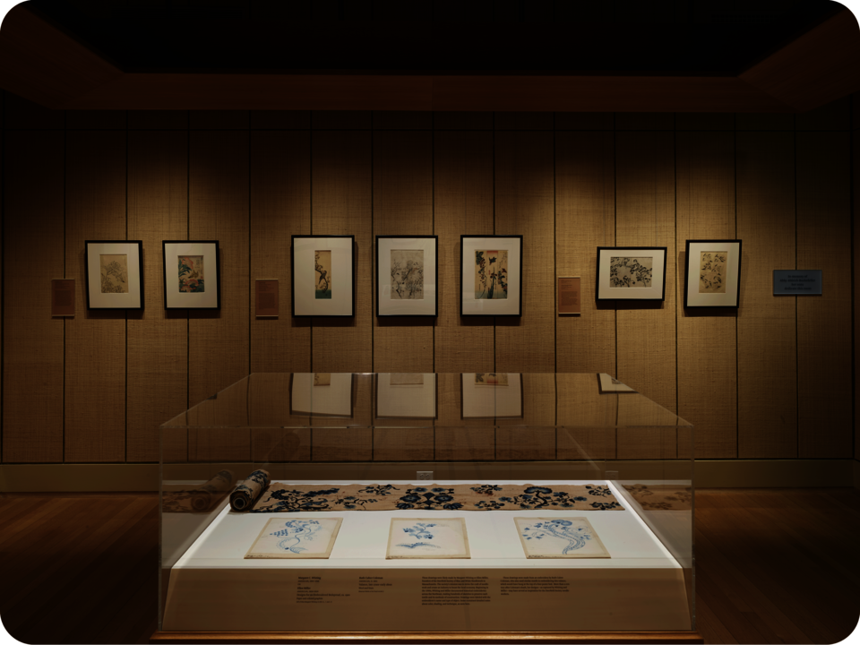 Exhibition documentation. A textile work is encased in a glass box. Behind it is a row of framed prints featuring various natural motifs. The wall and floor are both brown. 