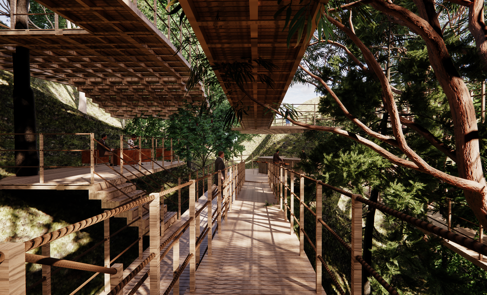 Tree trunks serve as supports for the walkway, while the treetops become the roof.