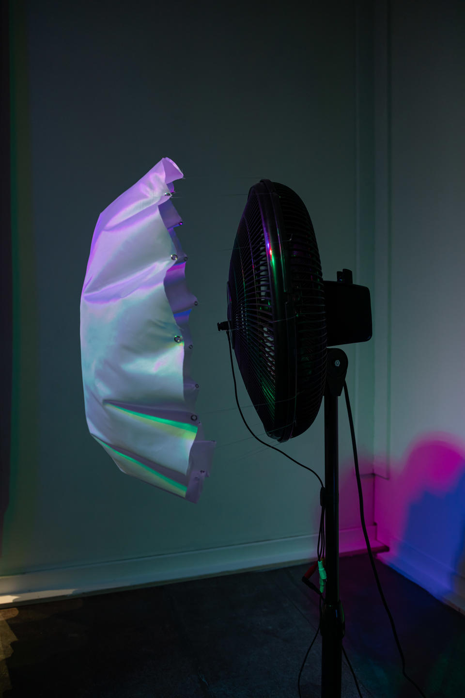 White fabric is attached to a fan and being blown up under colorful light.