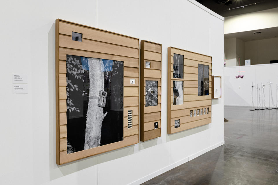 Installation view of framed photographic artworks at the RISD Degree Show 2023