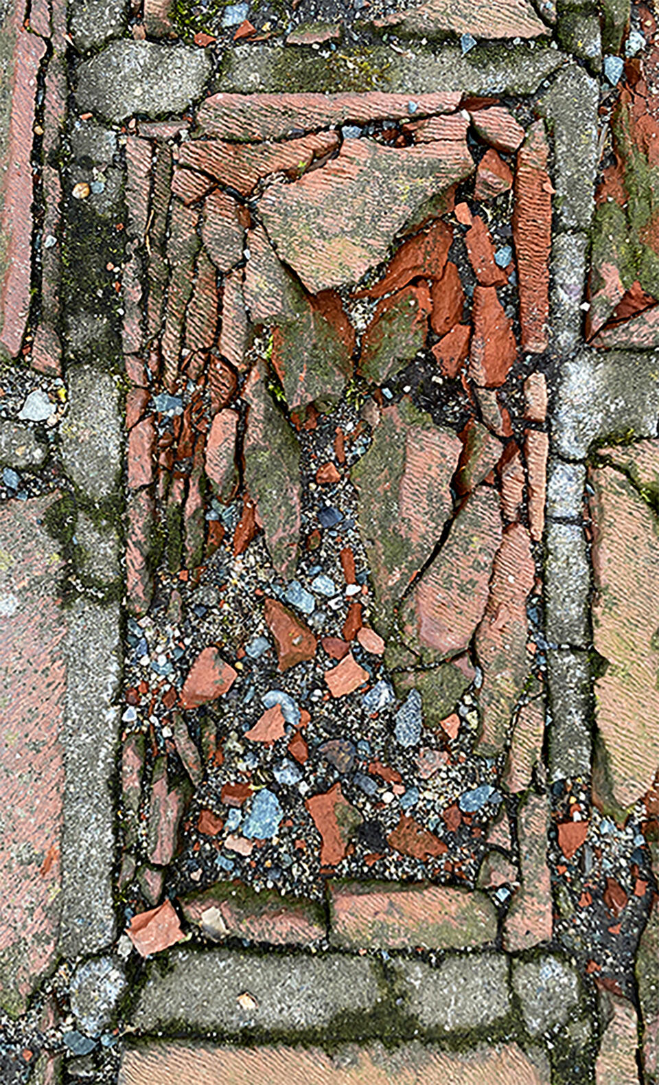 Photograph of a brick in bird's-eye view. Because of adjacent roots, the brick is breaking apart
