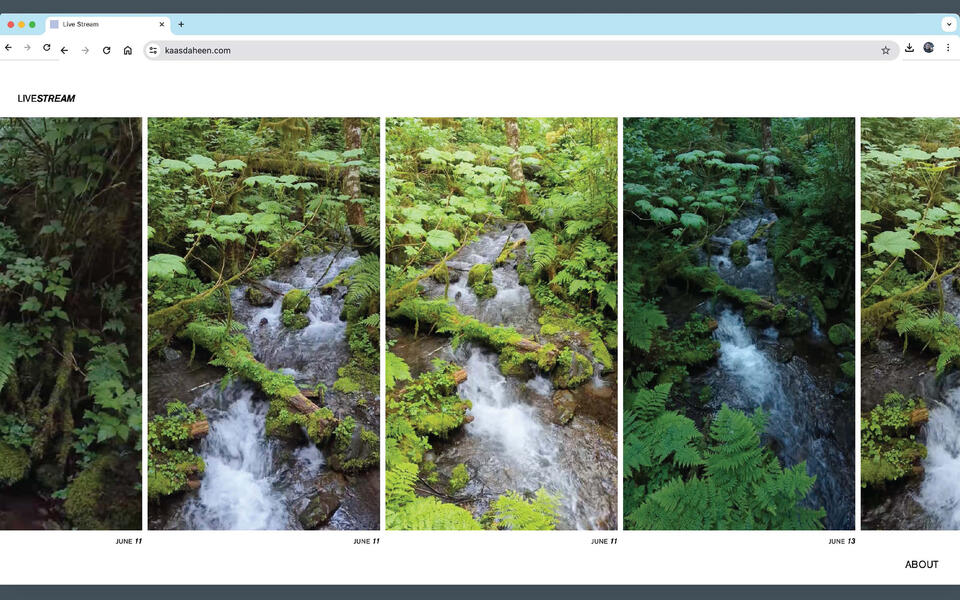 Screenshot of a website that features a scrolling carousel of recordings of a single stream in Southeast Alaska. 