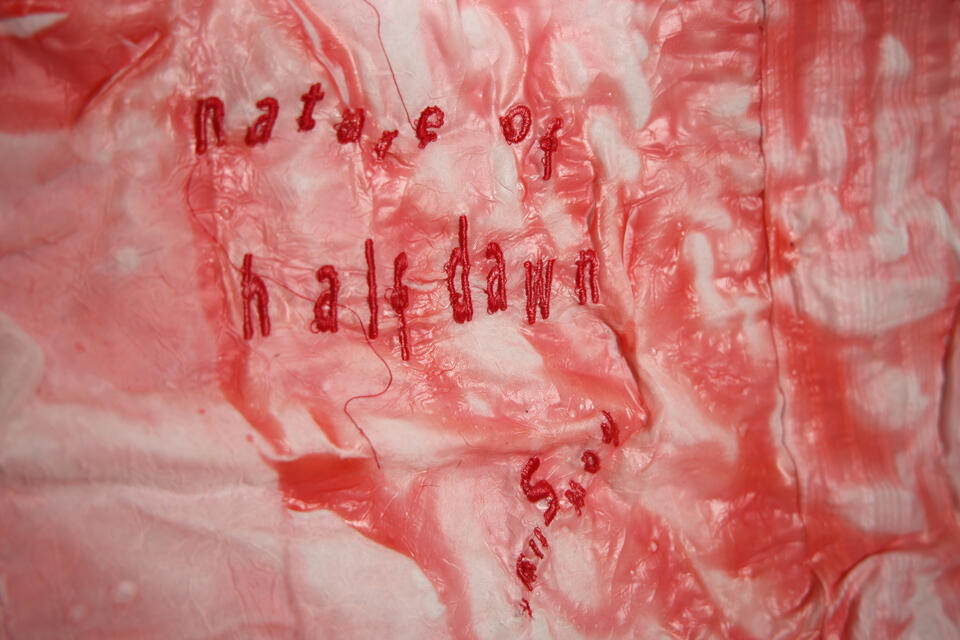 A close up on a quilt with a red, plastic film over it reading " Nature of Half Dawn."