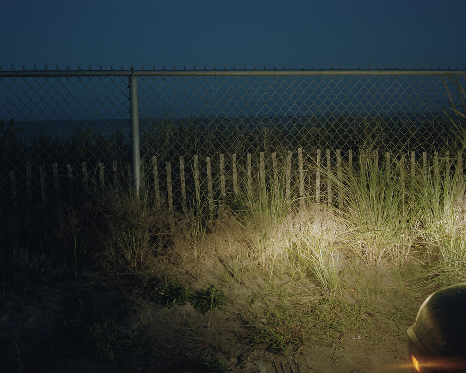 A photograh of a beach at dusk. The sky is dark blue, underneth is the Atlantic ocean. A tall metal fence and short wooden fence blocks the view and entry to the ocean. Green and dusty yellow folliage behind and infront of the metal fence. In the bottom right corner is a car headlight lighting the scene. 