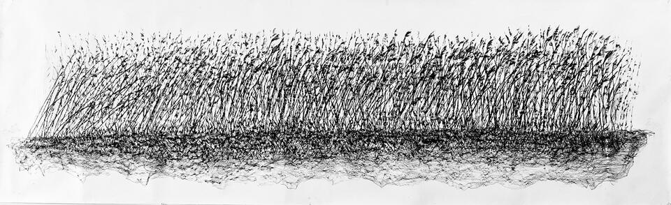 A large charcoal drawing of a wave of Phragmites