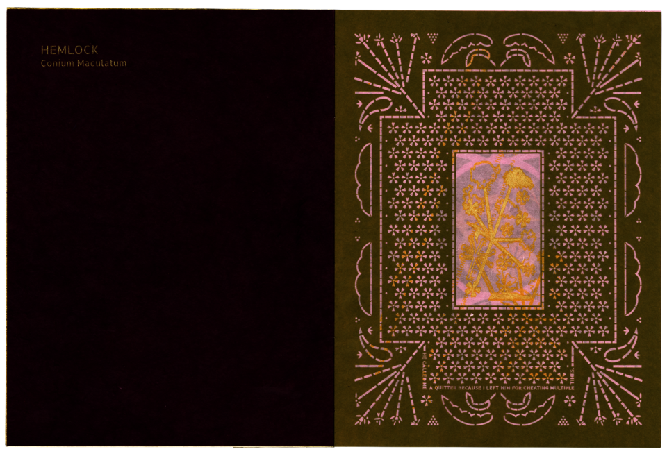 Purple, gold, pink, and green laser-cut and screen-printed spread.