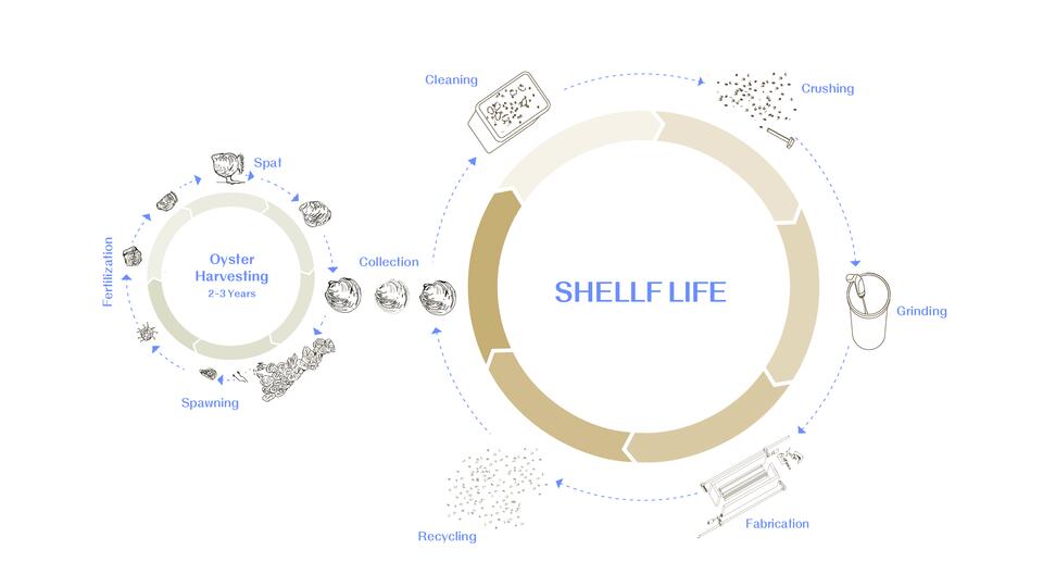 Diagram illustrating the life cycle of oyster shells, from harvesting to processing stages like cleaning, crushing, grinding, and fabrication, before being recycled and returned to the earth as food.