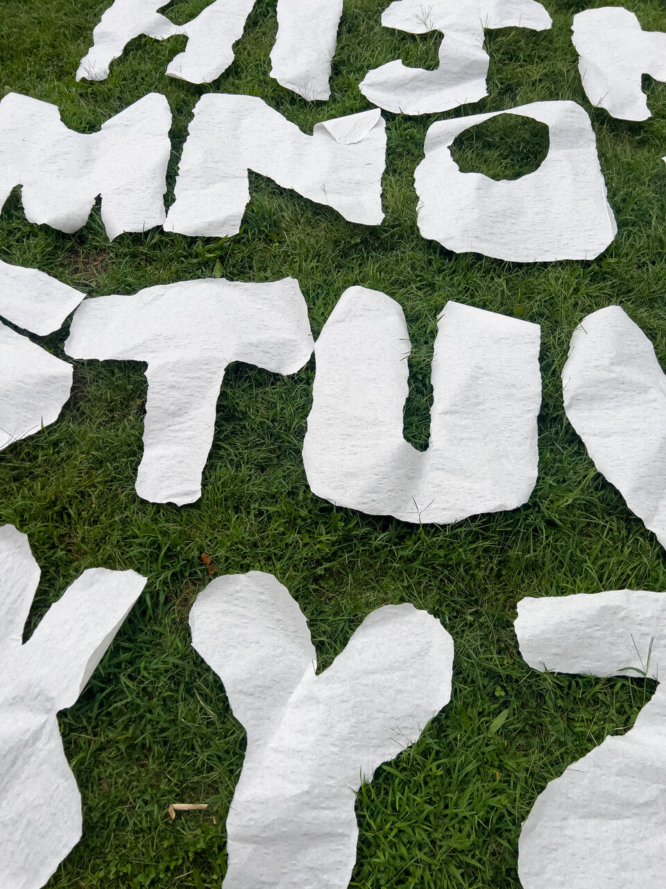 A photo of large letters of the alphabet lying on green grass.