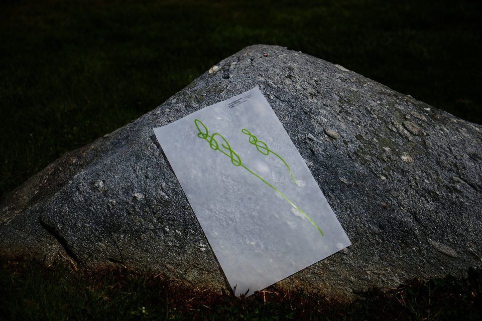 A drawing of two scrolling lines resting on a rock. 