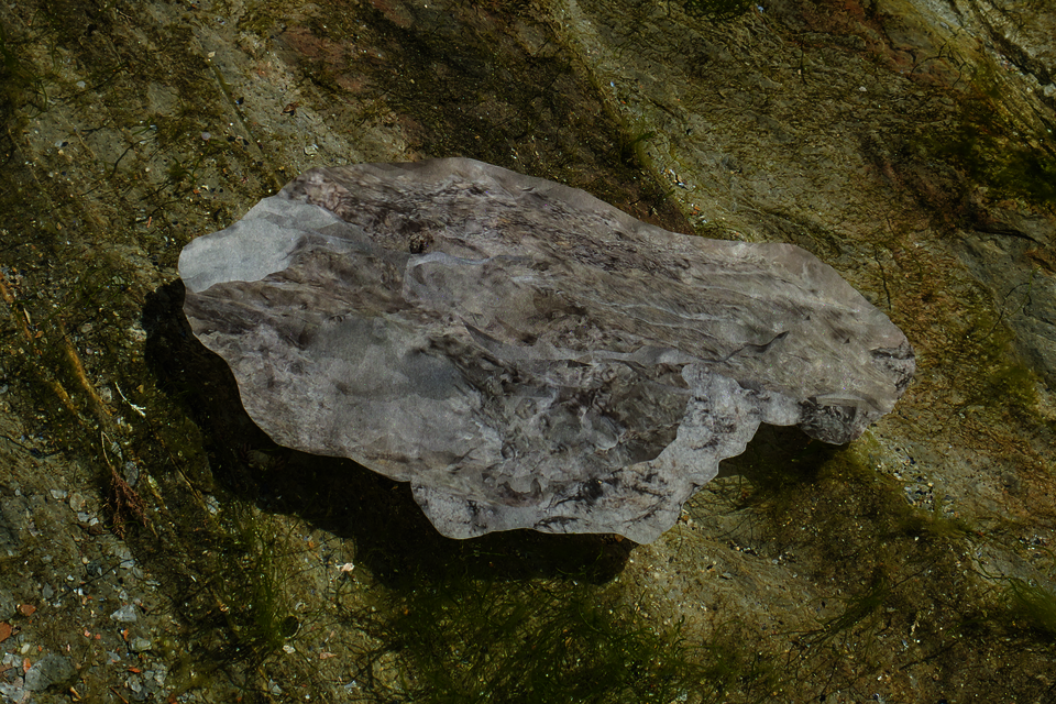A digital print of 3D scanned rocks is photographed ontop of a tide pool. 