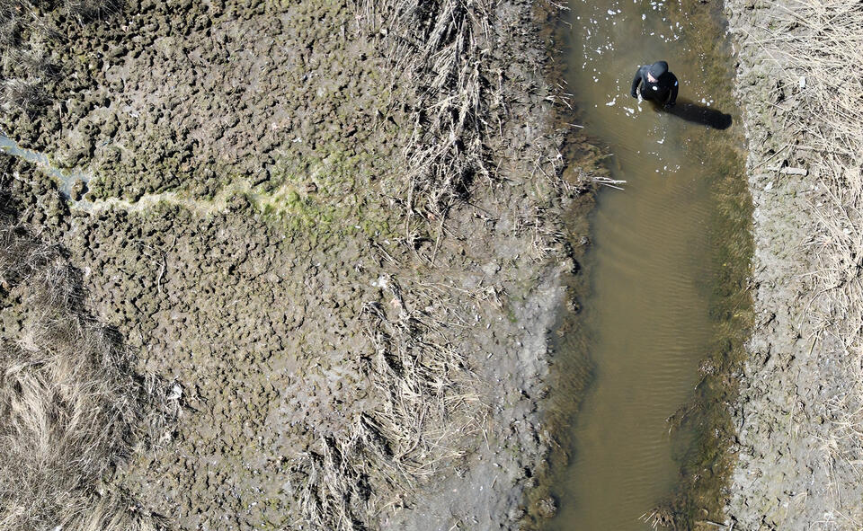 Drone footage of person standing in the middle of a salt marsh channel.