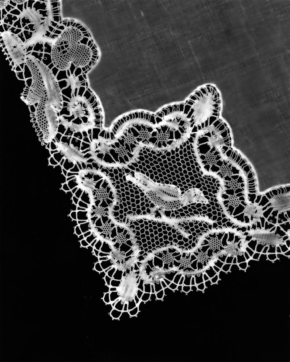 a darkroom-processed photogram print. Antique lace with an embroidered bird sitting on a branch.