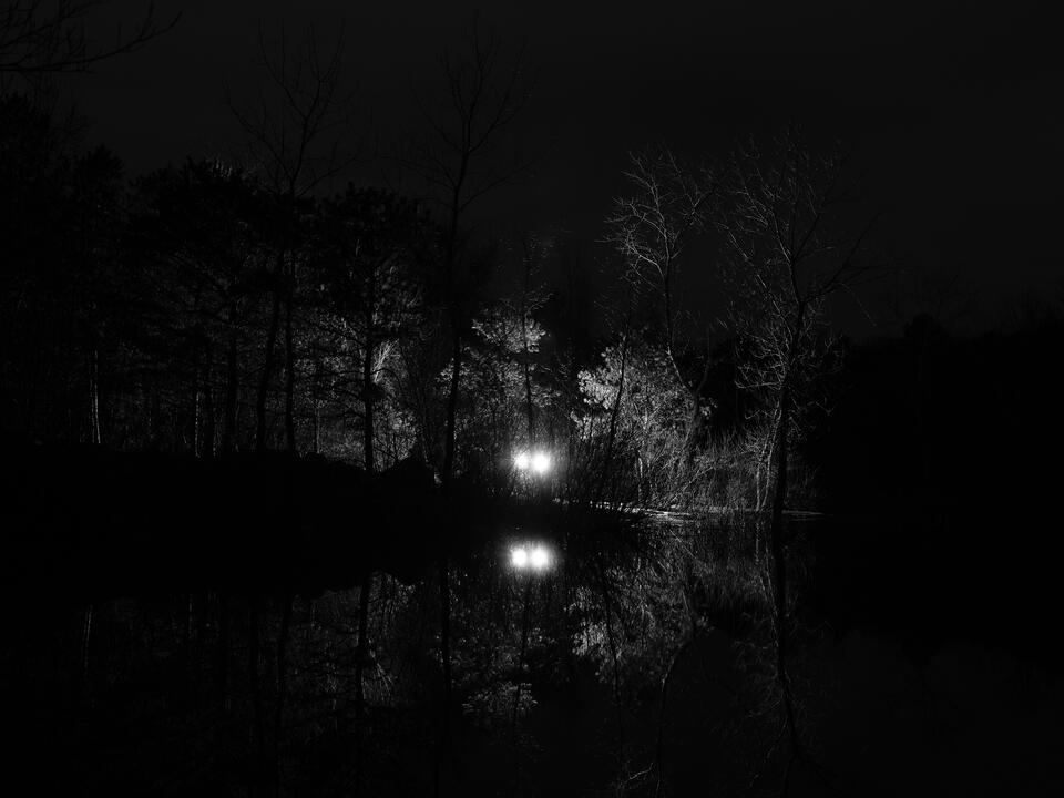 two glowing lights emerging from the woods at night near the shoreline of a lake