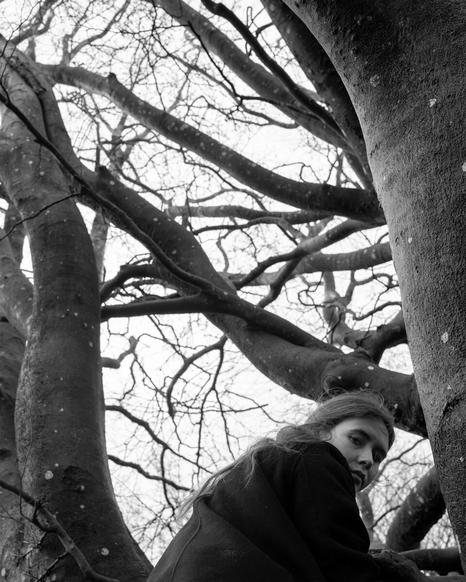 a young woman looking down while climbing a large tree.
