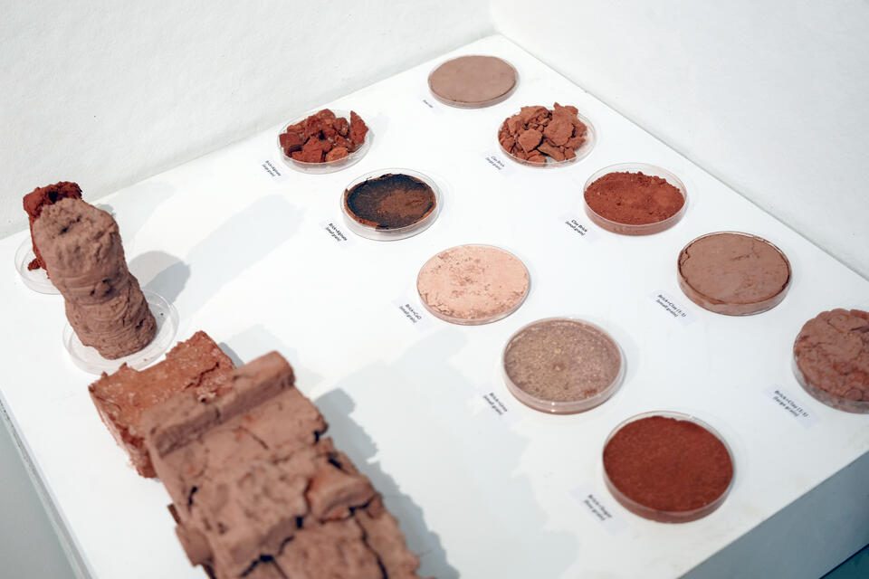 Biomaterial Research Based on Clay Bricks