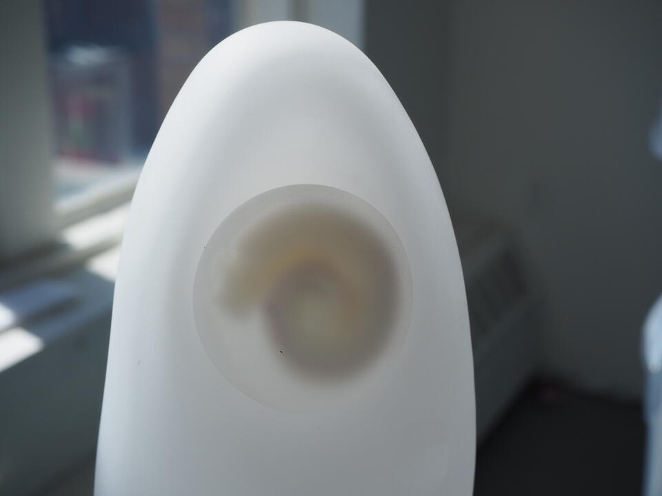 A white rice grain containing an embryo that evokes the shape of a human or animal.