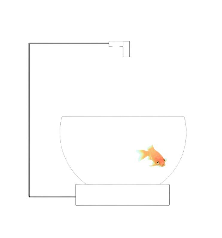 Image of a fish in bowl