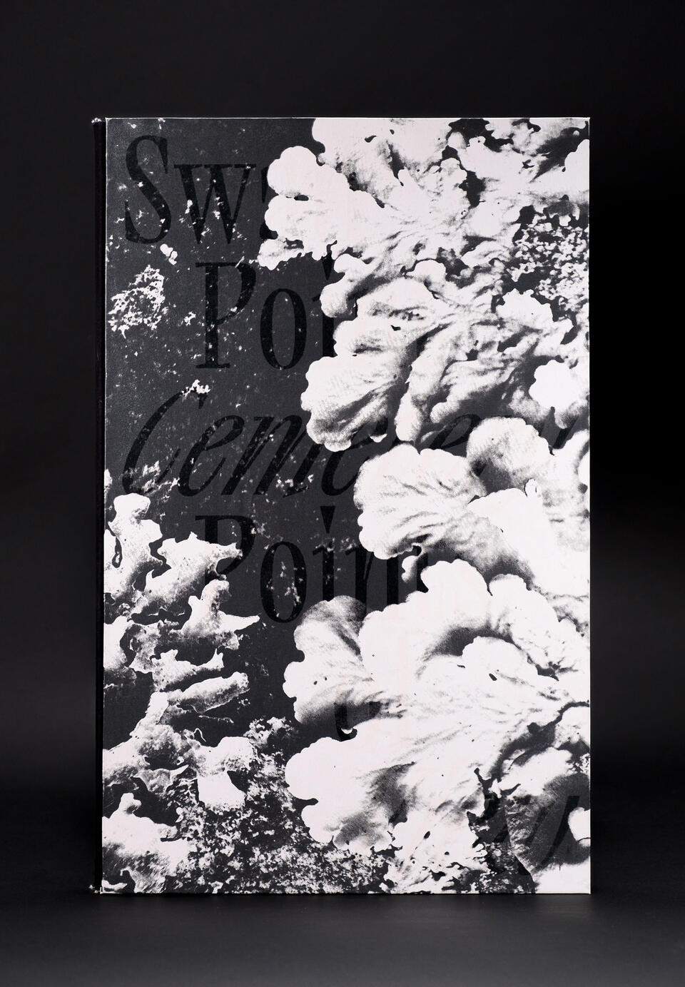 Cover with layered black text and high-contrast lichen imagery; reads “Swan Point Cemetery Points of View.”