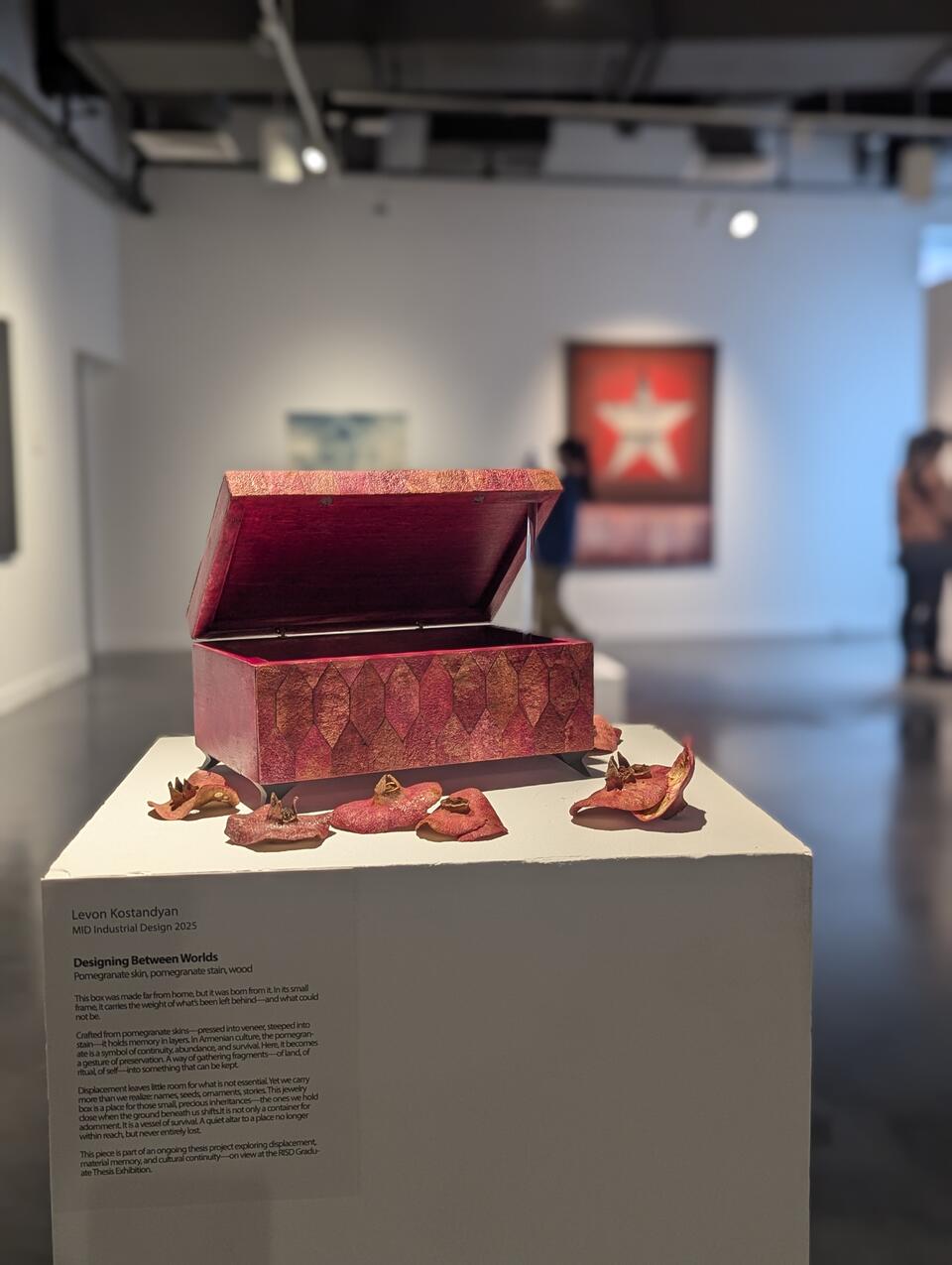 Jewelry box made of pomegranate skin sits open on a white pedestal, surrounded by dried skins in a gallery setting.