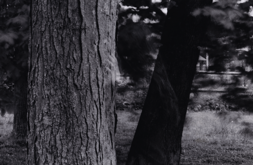 black and white close-up image of a tree trunk
