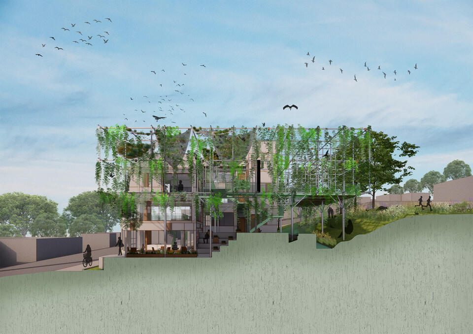 Section perspective collage of what the project is expected to look like after 5 years with nature prospering. 