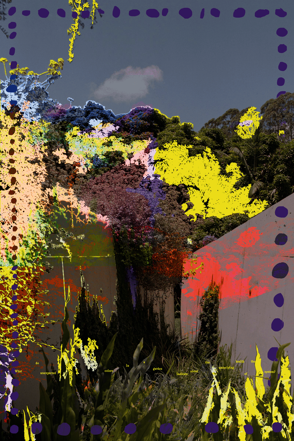 A digitally manipulated garden scene features unnatural splashes of color and dotted purple border, with bottom yellow text.