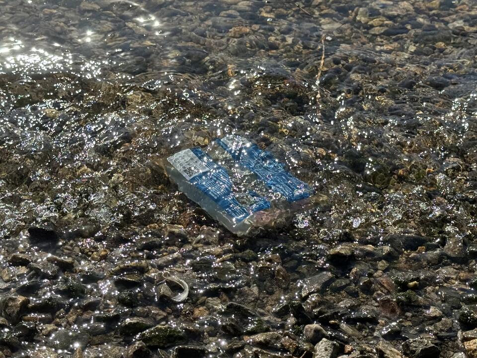 A blue plastic bag floating in shallow river water, surrounded by rocks and shimmering sunlight.
