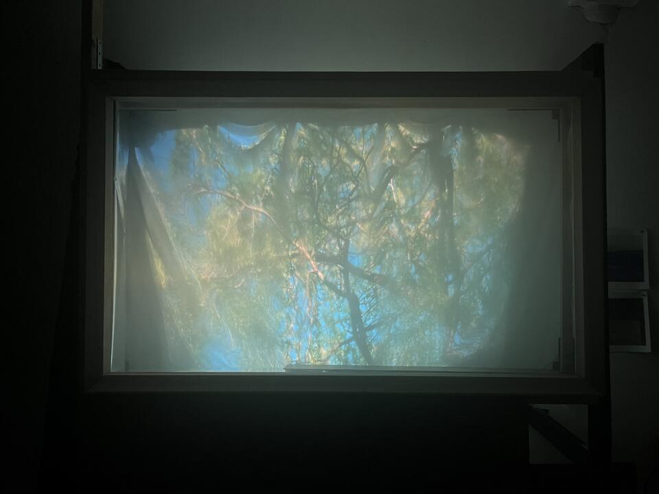 Video projection within a window-like frame on a 10×10 ft wall, layered with translucent fabric that softens the moving image